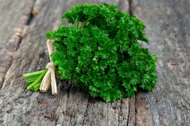 Parsley tea for weight loss