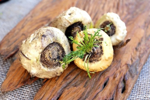 Peruvian Maca: 13 benefits, what it’s for (and how to take it)