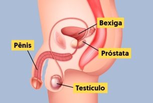 Prostate: what it is, functions, where it is (and other questions)