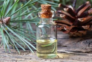 Scots pine: what it is for and how to use it