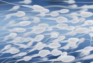 Spermatogenesis: what it is, stages and what affects the process