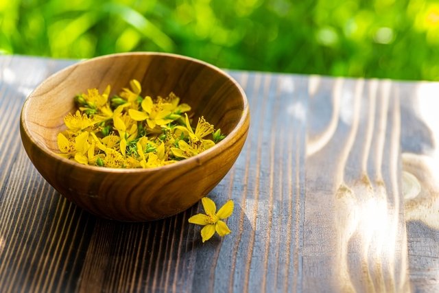 St. John's wort: what it is for and how to use it