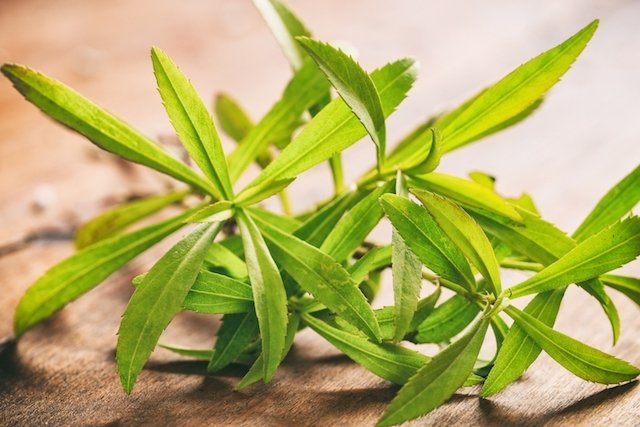 Tarragon: what it is for and how to use it