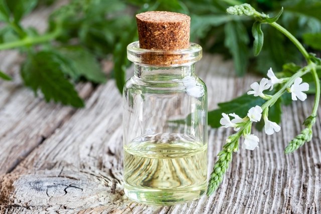 Verbena: what it is for and how to use it