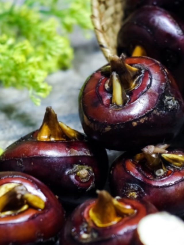 Water Chestnut: 7 amazing benefits of Singhara for health