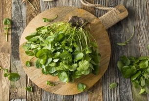 Watercress: 10 benefits and how to use it (with healthy recipes)