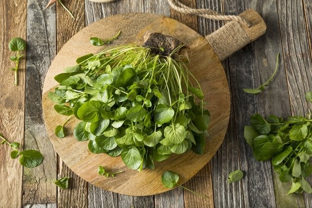 Watercress: 10 benefits and how to use it (with healthy recipes)