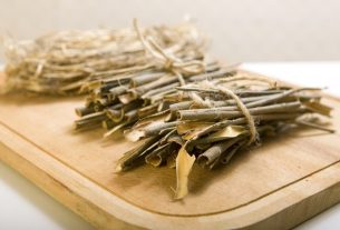 White willow: what it is for and how to make tea