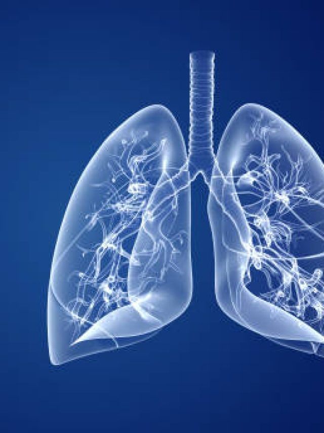 World TB Day: Symptoms to lookout for