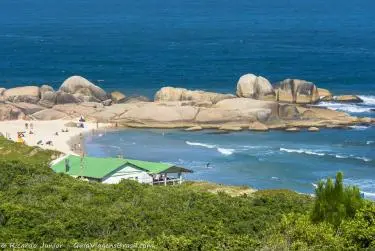 Une photo d'une Taupe, Florianopolis, SC, brésil – Crédit Photo: © Ricardo Junior Photos.com.br