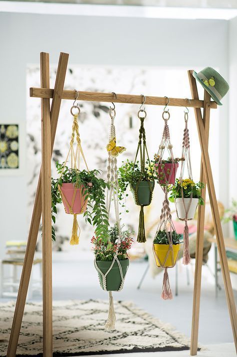 Plant clothesline