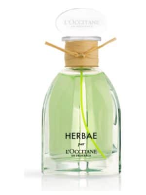 Herbs - L'occitane - perfumes prepare for winter
