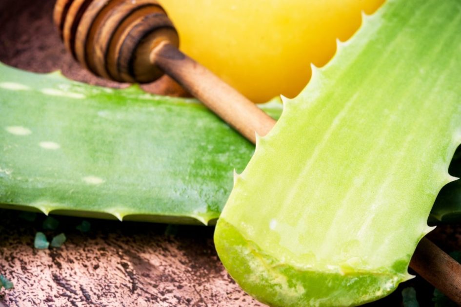 Homemade aloe vera recipe to combat dandruff