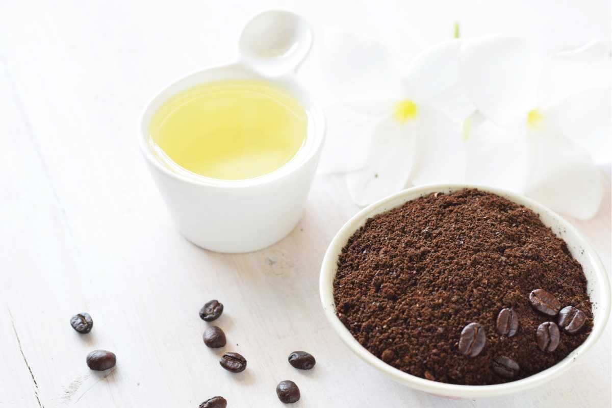 hydration with coffee and olive oil