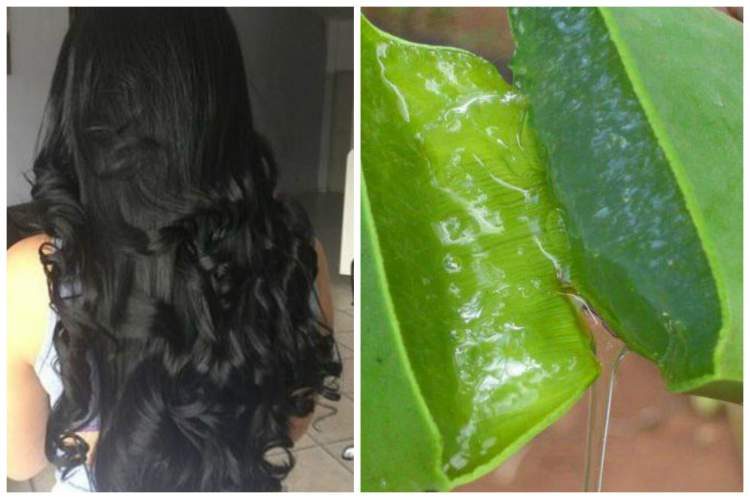 Use aloe vera to add volume to fine hair