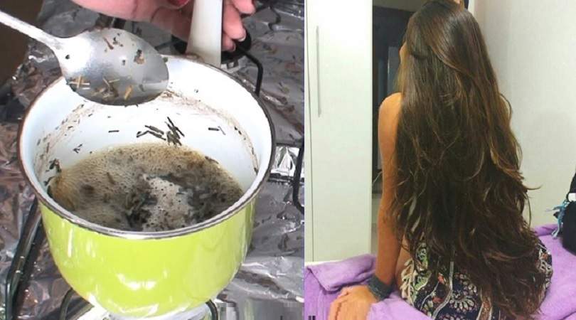 Receita para ajudar seu cabelo recuperar a força e o volume