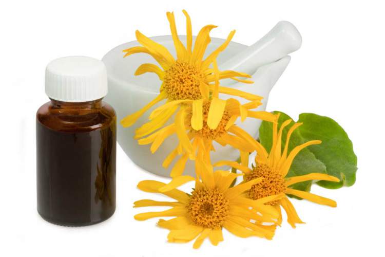 Homemade arnica recipe to increase hair volume and shine