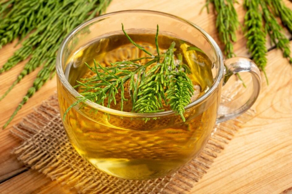 horsetail tea