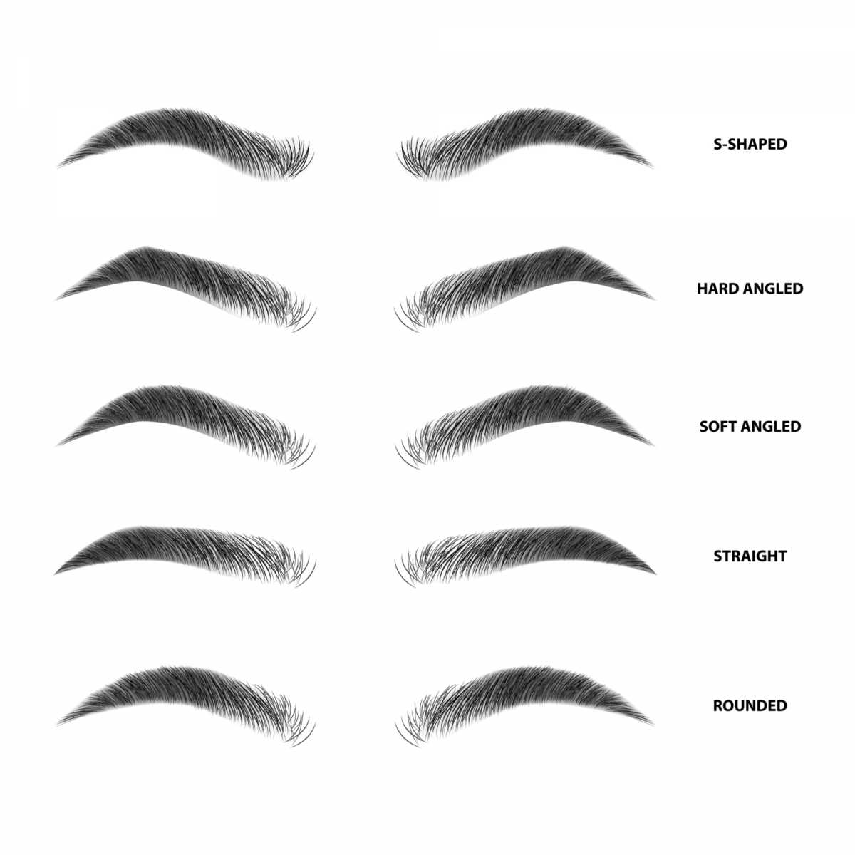 types of eyebrows