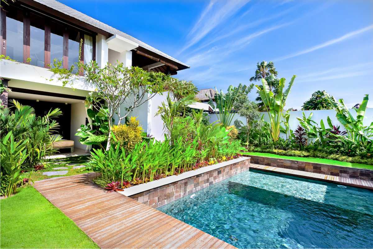 swimming pool surrounded by foliage