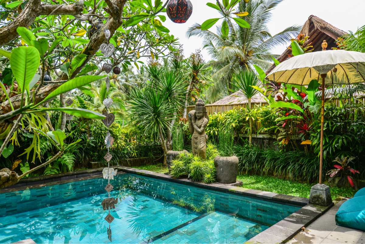 square swimming pool amidst vegetation