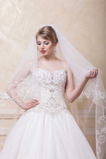 ideal veil for a perfect wedding dress with embroidered cropped top