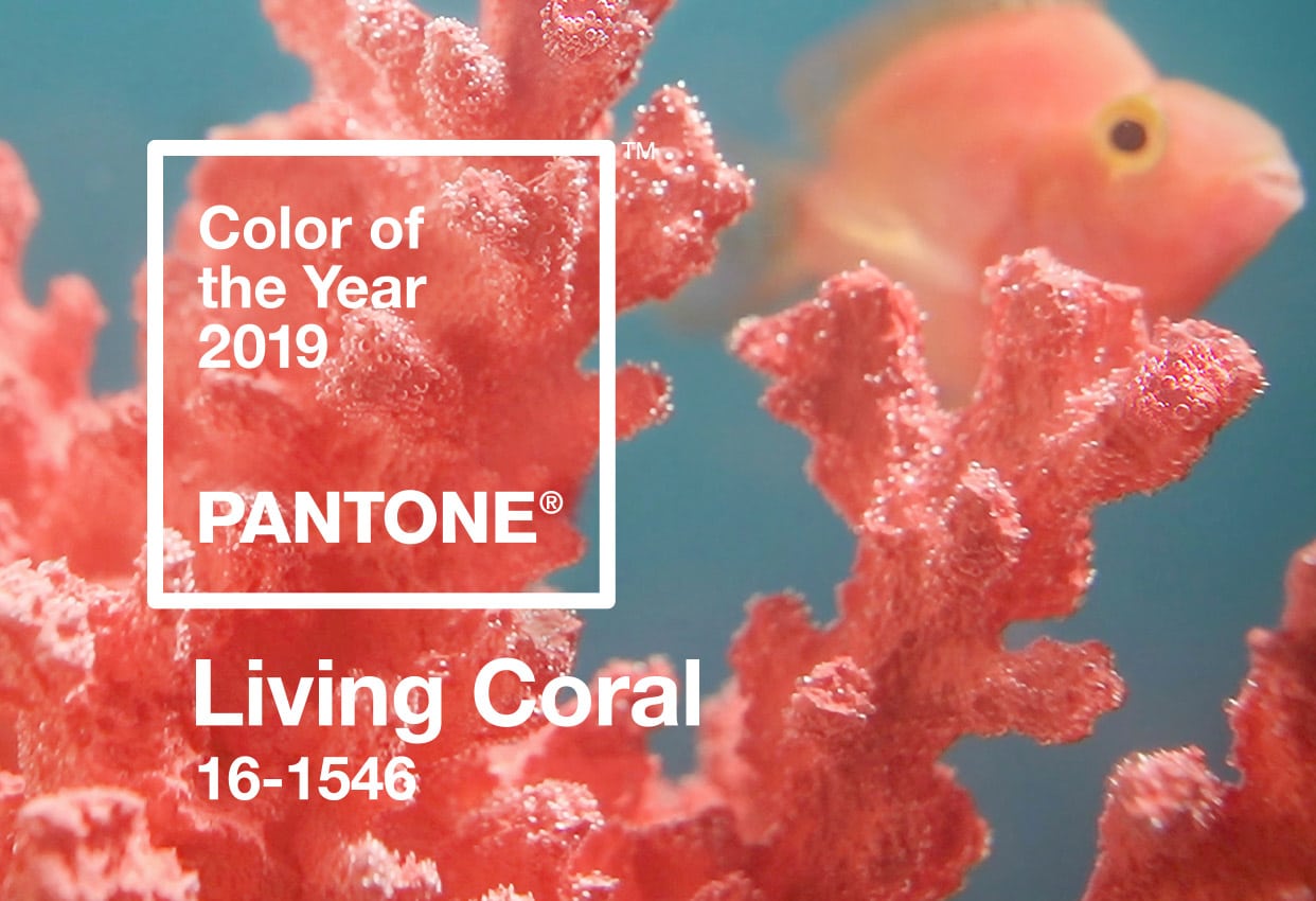 Viva Magenta: discover Pantone's color of the year for 2023
