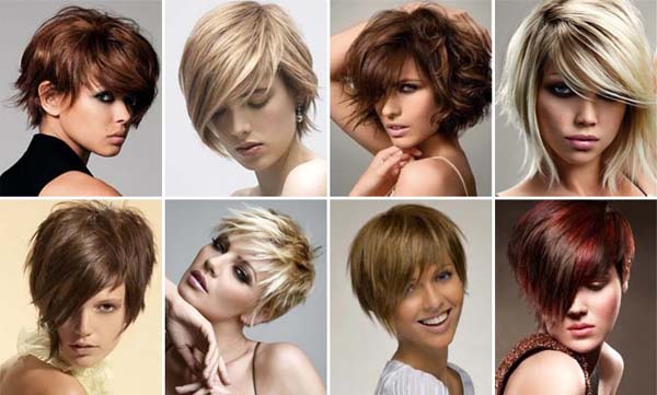 short cut models