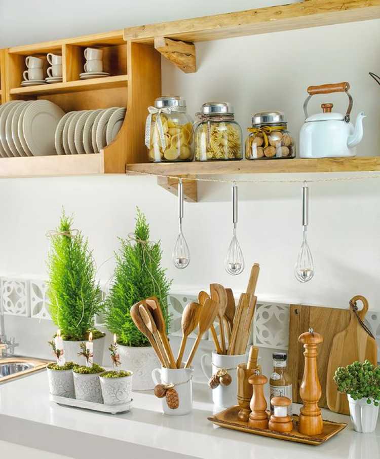 plants as decorative objects in a small kitchen