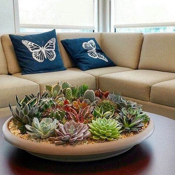 Succulent terrarium on the coffee table, next to a beige sofa with two blue and white butterfly pillows.