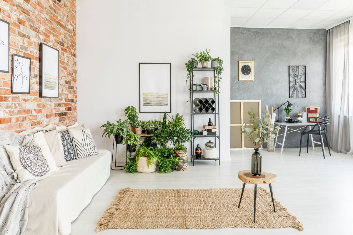 Sala em tons de bege com sofá e diversas plantas, próxima a cômodo com parede cinza e escrivaninha