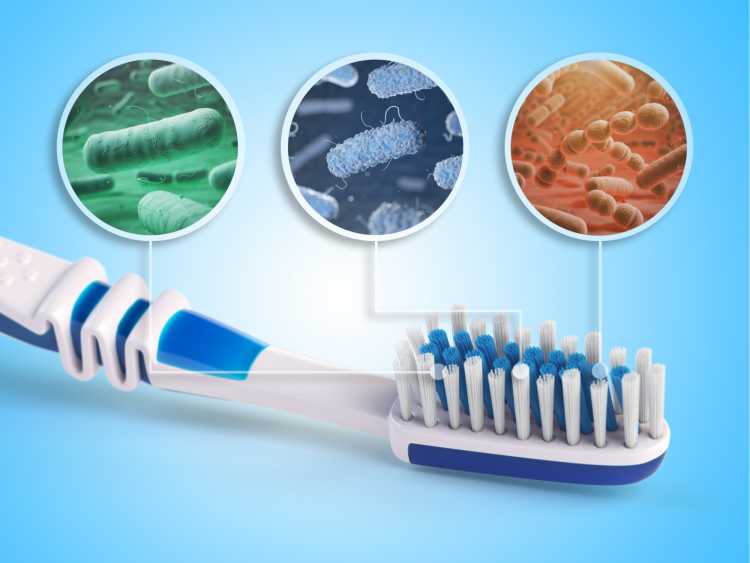 Toothbrush is one of the household objects that are very dirty