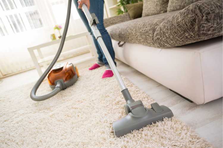 Carpets are one of the household objects that are very dirty.