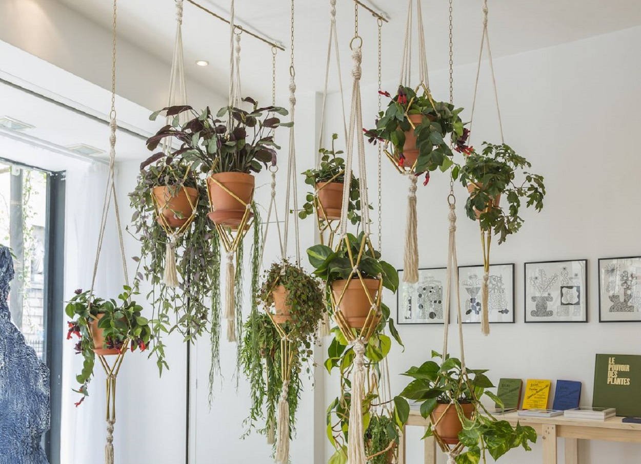 Hanging garden