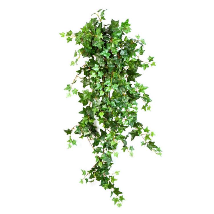 Ivy is one of the plants that can be grown in the office to reduce stress