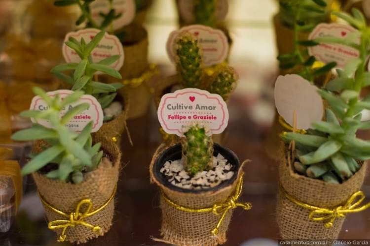 Pots of succulents among the trends in wedding favors