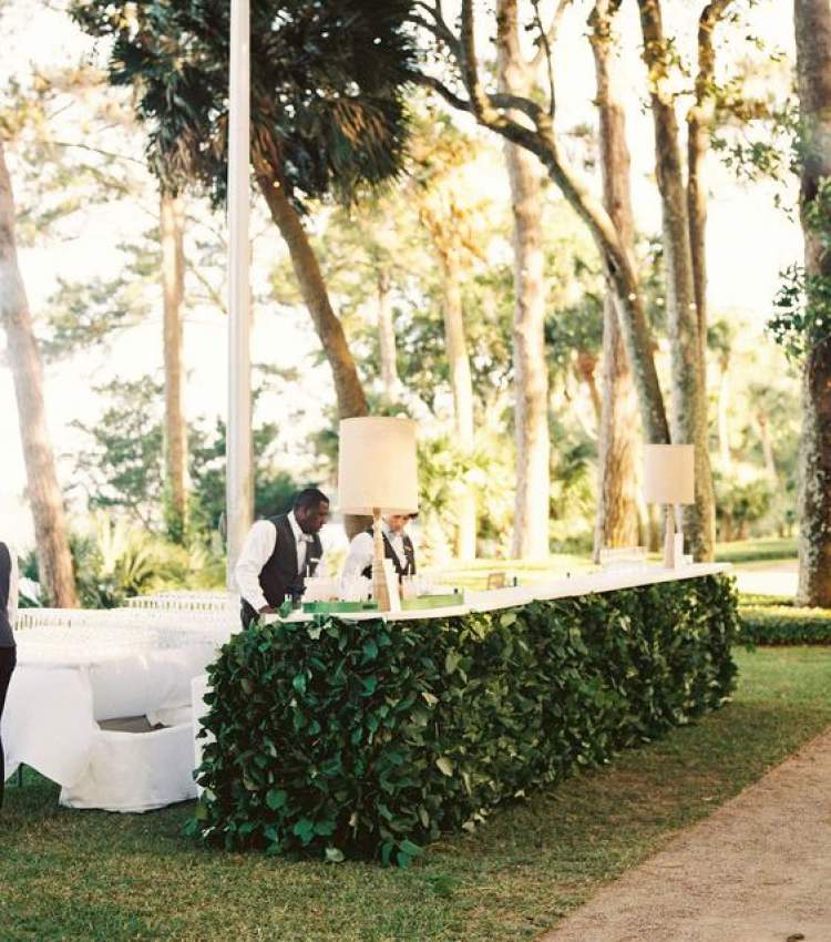 Bar surrounded by foliage