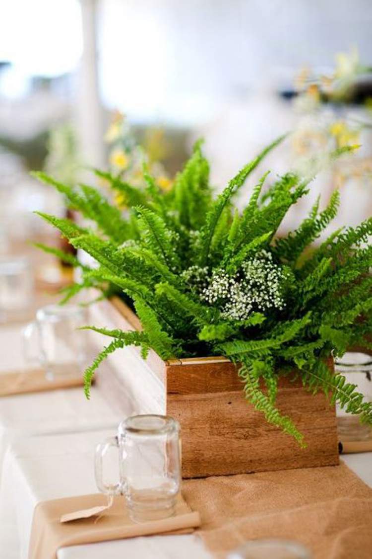 Foliage arrangement for wedding decoration