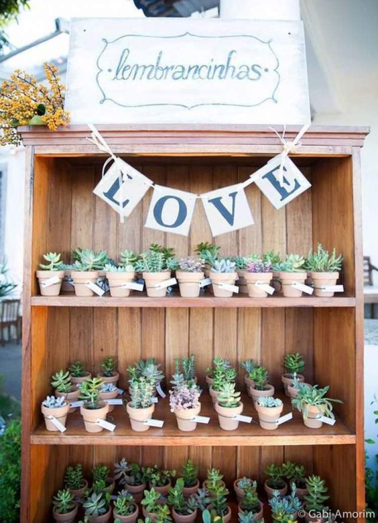 Plant tips to give as wedding favors