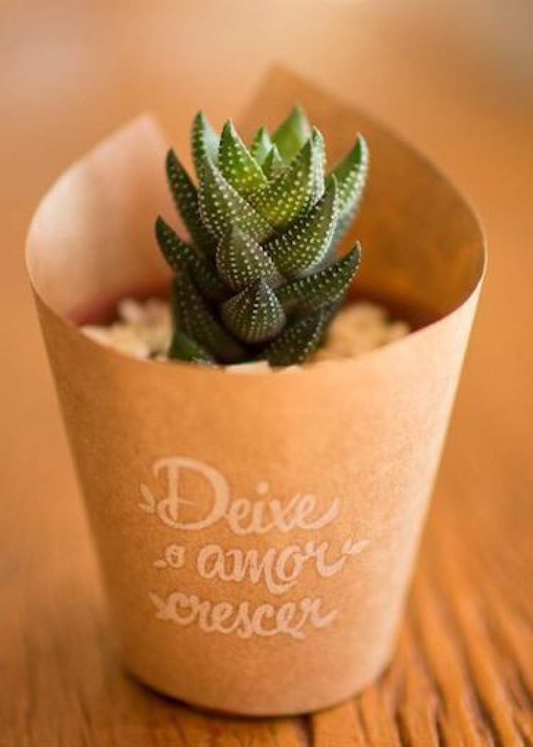 Little plant to give as a wedding souvenir