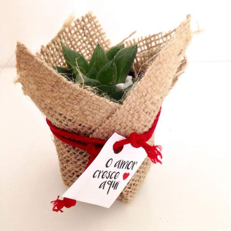 Suggestion for wedding favors with plants