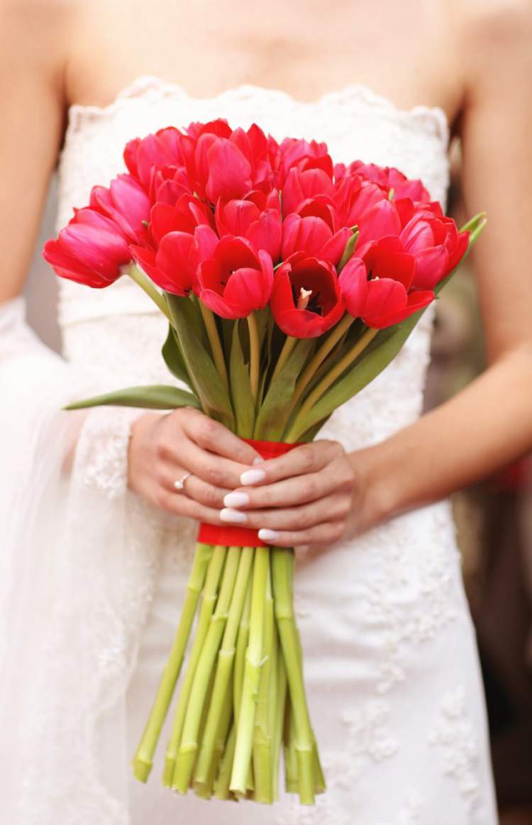 Bouquet of Tulips