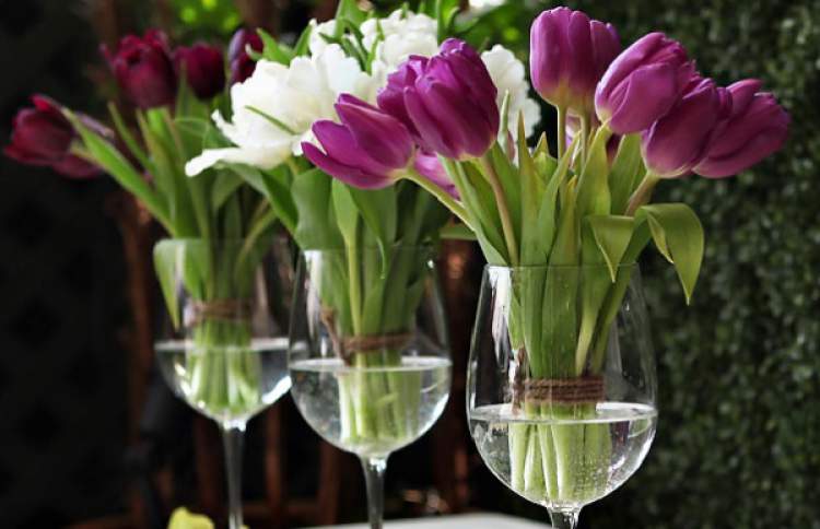 Tulip Arrangements