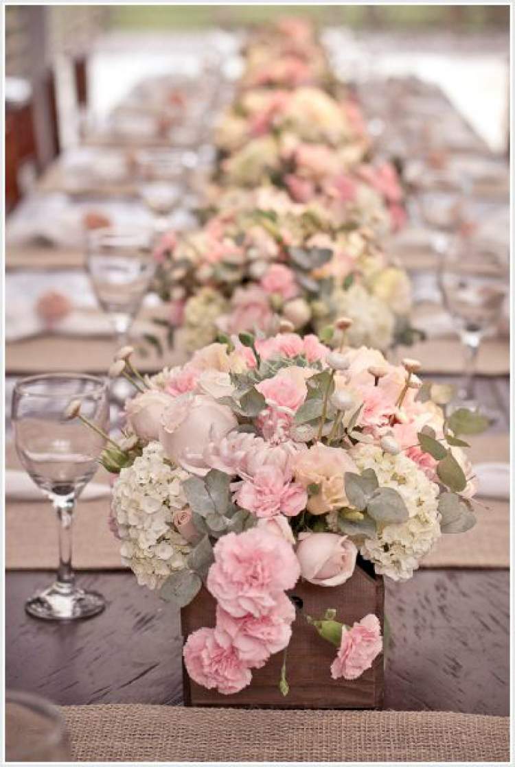 Carnation is one of the flowers for bouquets and arrangements