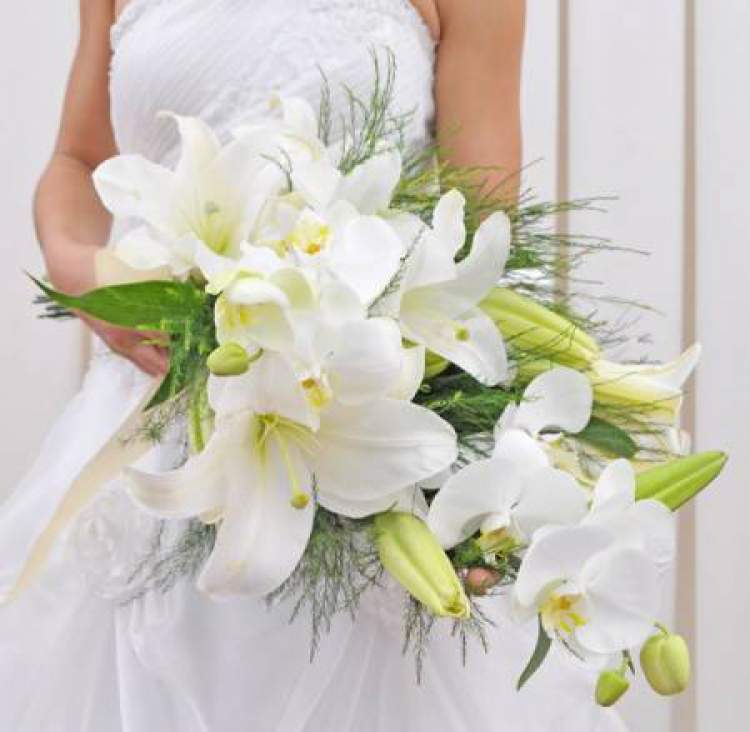 Lilies represent purity and respect.