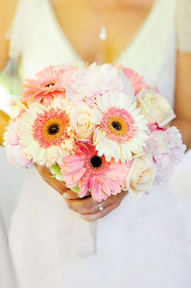 Gerbera Bouquet