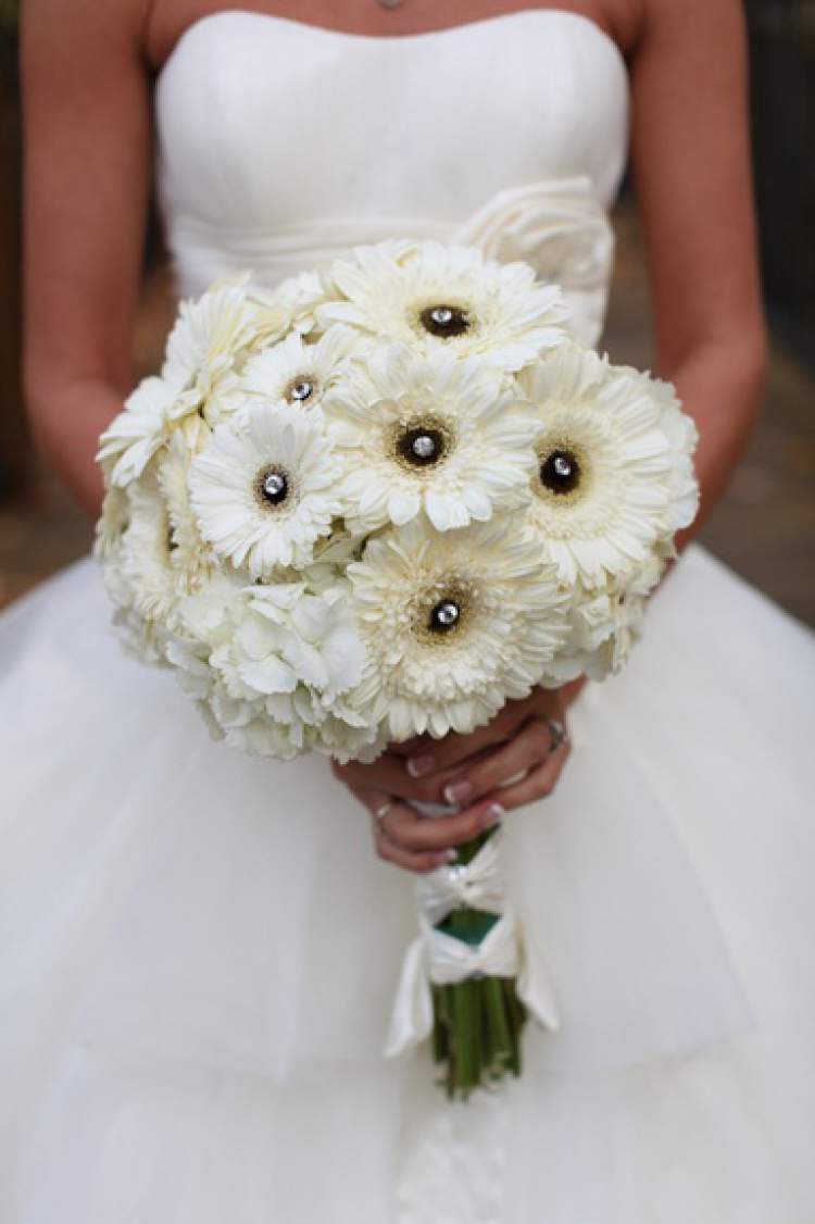 Gerbera is one of the flowers for bouquets and arrangements