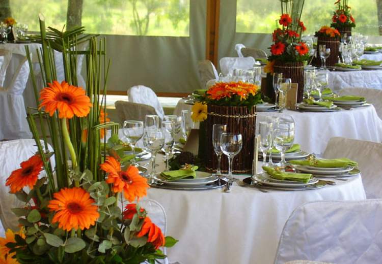 Arrangements with gerberas