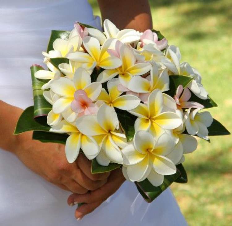 Jasmine is one of the flowers for bouquets and arrangements