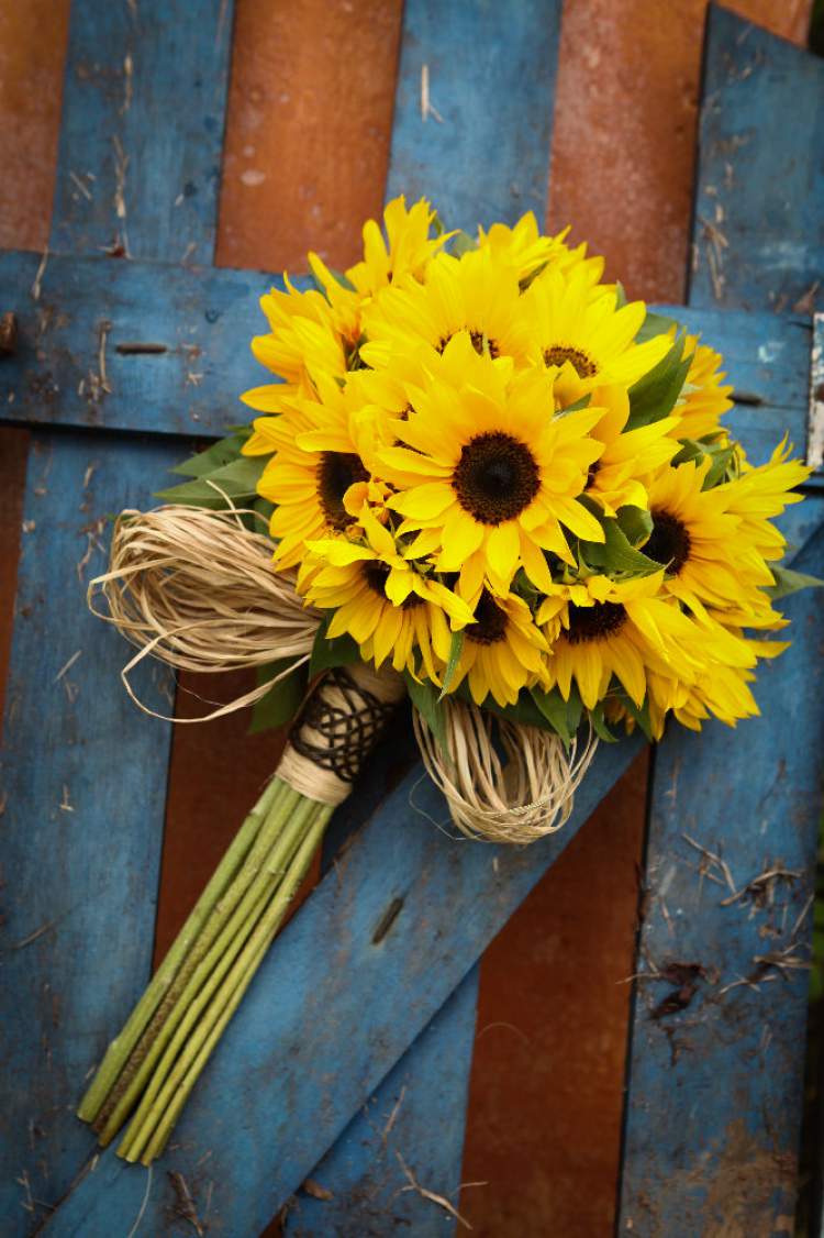 Sunflower is one of the flowers for bouquets and arrangements